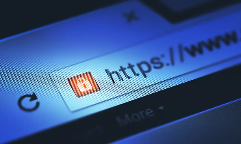 ホームページ(HP)の脆弱性診断をするには?方法や選び方を解説